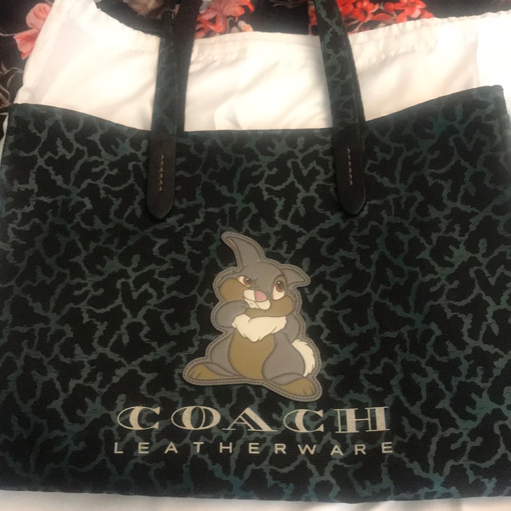 Coach Disney tote 👜 spring collection.